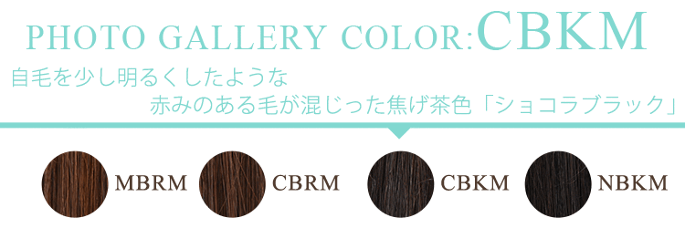 フォトギャラリー cbkm