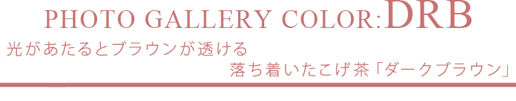 光があたるとブラウンが透ける落ち着いたこげ茶「ダークブラウン」