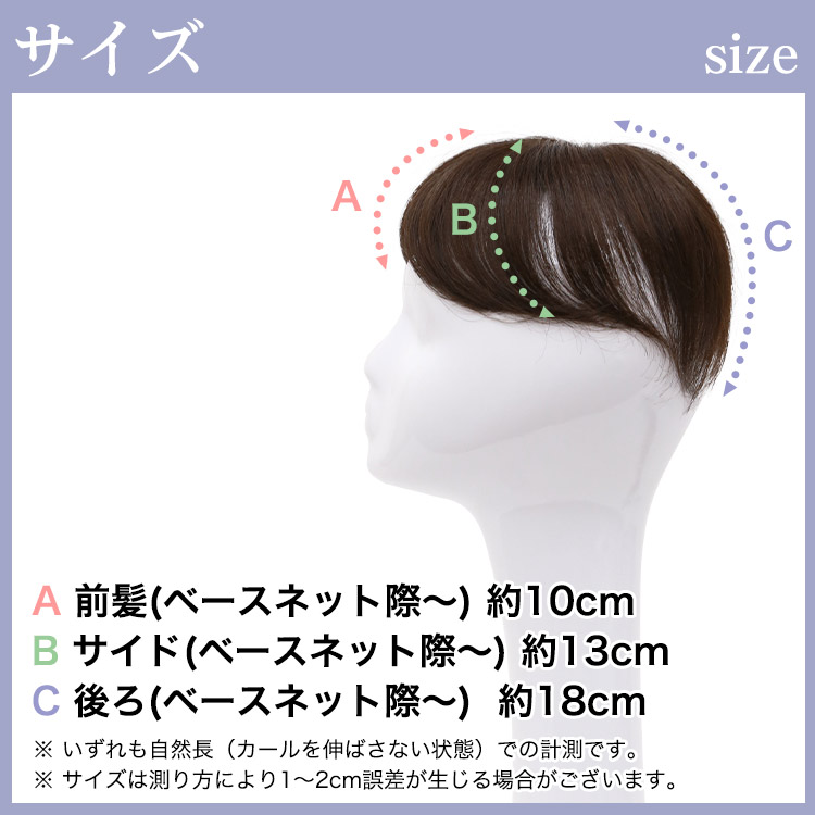 ヘアピース寸法サイズ写真