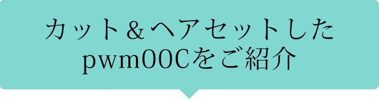 カット&セットしたpwm00Cをご紹介