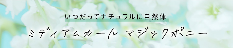 いつだってナチュラルに自然体 ポイントウィッグ ミディアムカールマジックポニー