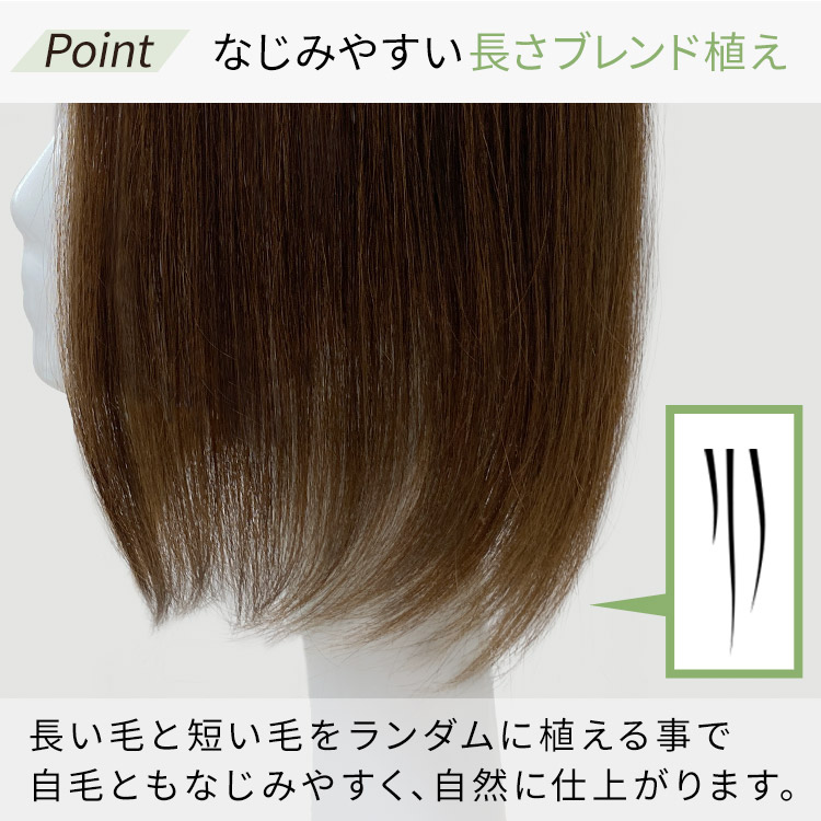 人毛100% ヘアピース T型ベースリアルスキンはなじみやすい長さブレンド植え