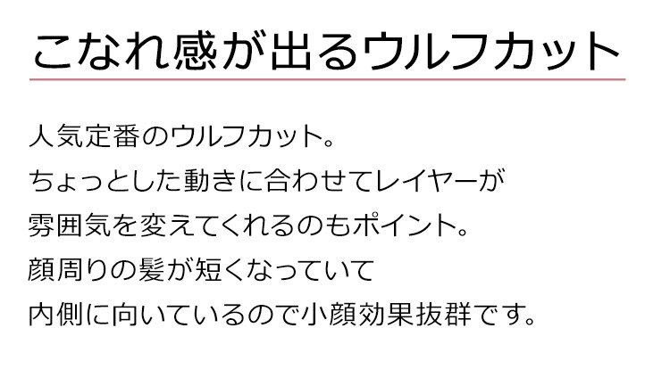 プレジーウルフミディは、こなれ感が出るウルフカット。ちょっとした動きに合わせてレイヤーが雰囲気を変えてくれるのもポイント。顔周りの髪が短くなっていて内側に向いているので小顔効果抜群です。