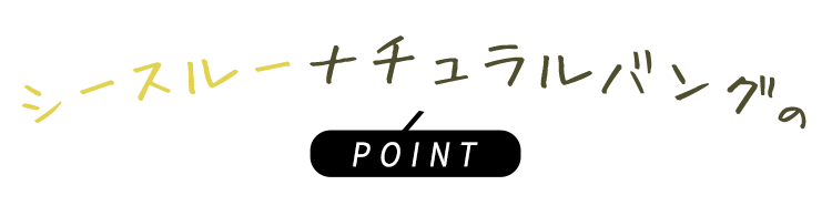 ポイントウィッグ シースルーナチュラルバング のポイント