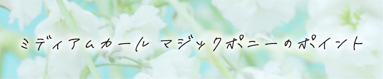 ポイントウィッグ ミディアムカールマジックポニー のポイント